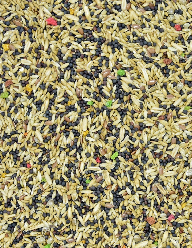 MDM KS – HRANA CANARI STANDARD -VITA-ORGANIC-10KG