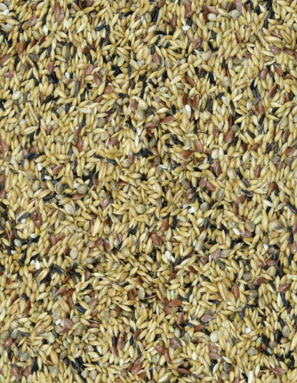 MDM KE-BR – HRANĂ PENTRU CANAR „OPTIMA MOZAIK” fără nap și FARA rapiță- VITA – ORGANIC-10KG