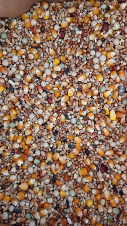 Pigeon Gold 20 kg hrana de baza