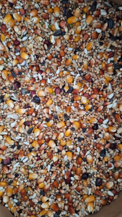 Pigeon Gold - Concurs 20 kg -  fara mazare
