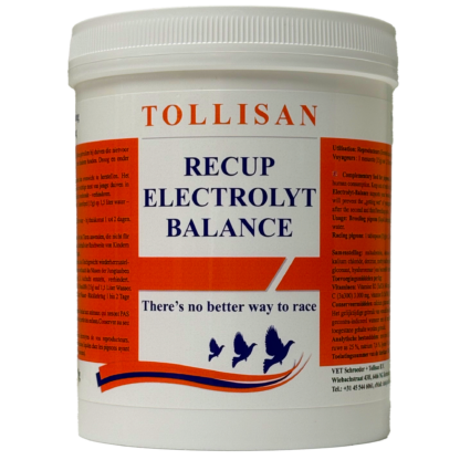 Recup Electrolyt Balance 500gr
